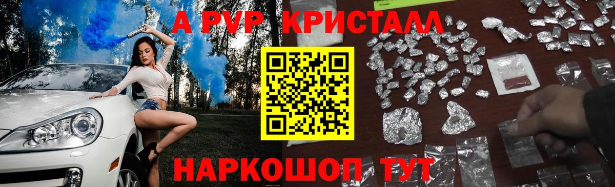 Альфа ПВП СК Камышин