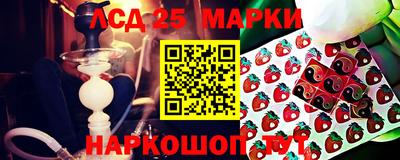 шишки Коммунар