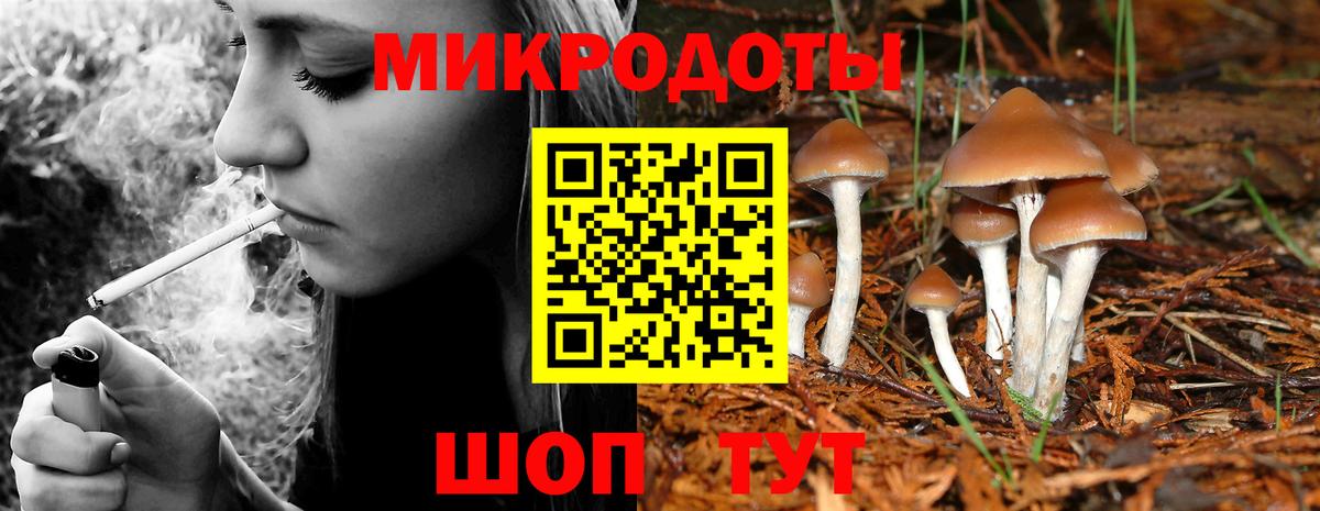 Камышин  Галлюциногенные грибы ЛСД  Вход с VPN 