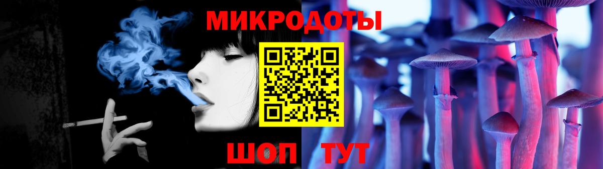 Псилоцибиновые грибы мицелий Камышин